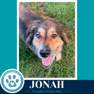Jonah 091226