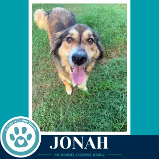 Jonah 091226