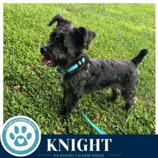 Knight 091226