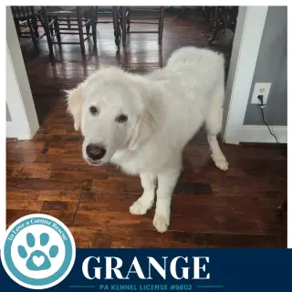 Grange 091226