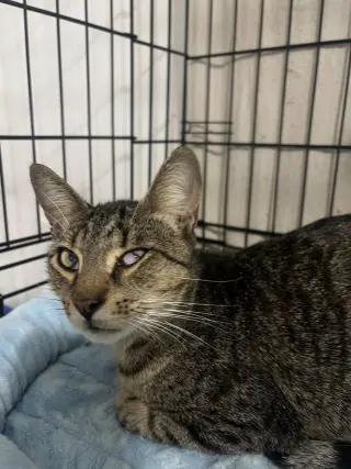 Benny