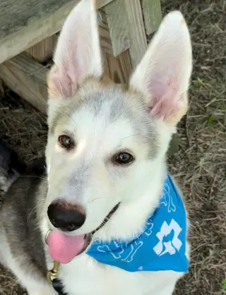 Murray