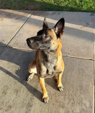 Meena Located in Arizona