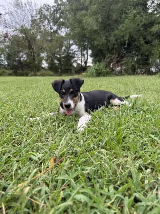 Zelda