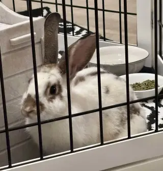 Charlie (#3)