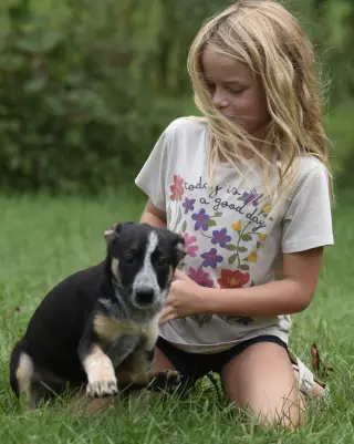 Ronan