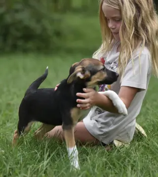 Remi