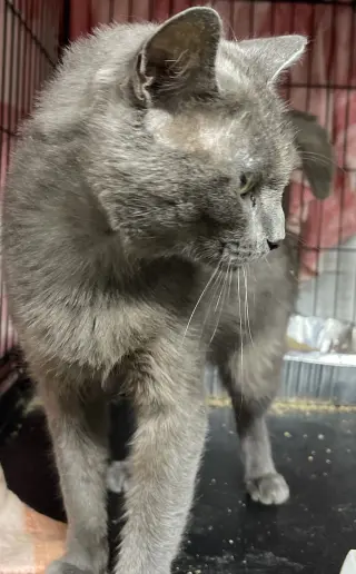 Ben