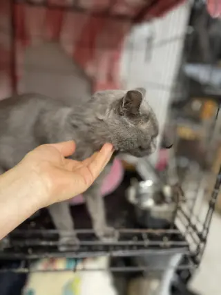 Ben