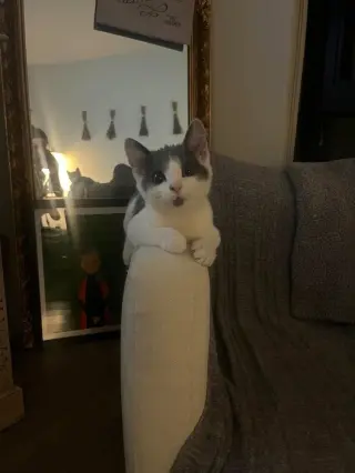 Machka