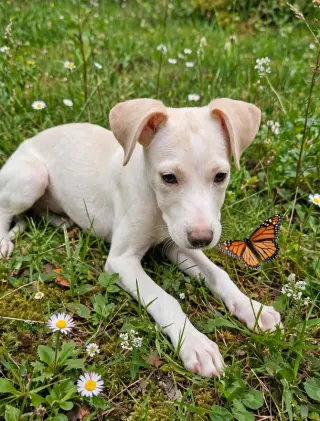 Amy (TX)
