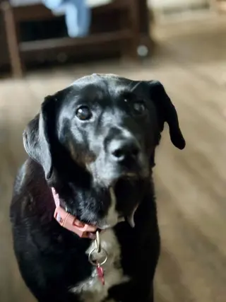 Katie