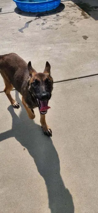 Pilot - Located in Oklahoma