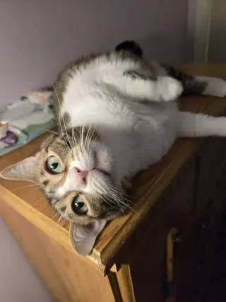 Chloe