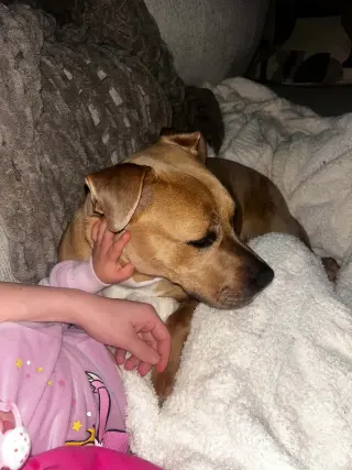 Baylee- sweet soul