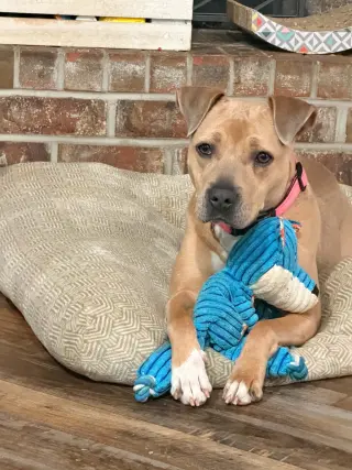 Baylee- sweet soul