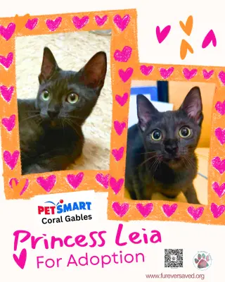 Princess Leia