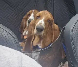 Maggie and Willow