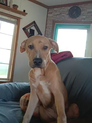 Cooper