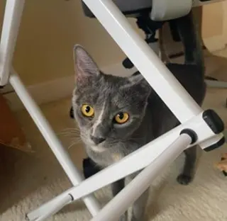 Mia