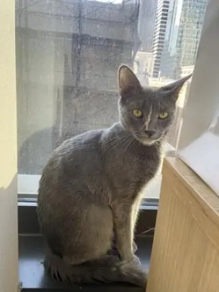 Mia