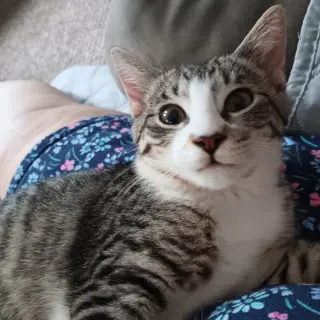 Snuggles