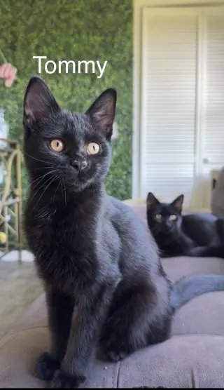 Mavis & Tommy