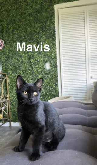 Mavis & Tommy