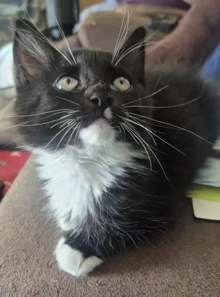 Stormy