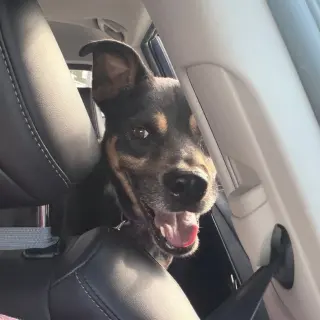 Melo