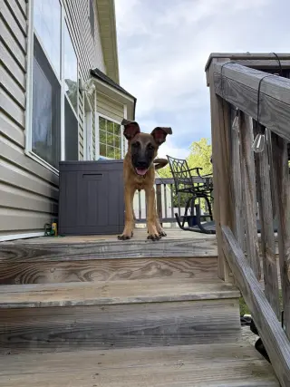 Crouton - Located in North Carolina