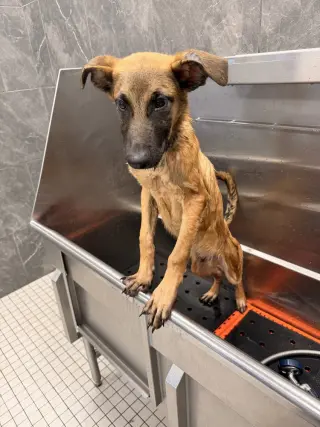 Crouton - Located in North Carolina