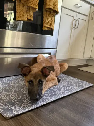 Crouton - Located in North Carolina
