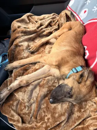 Crouton - Located in North Carolina