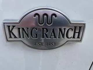 Ford Expedition 2020 4x4 King Ranch 4dr SUV