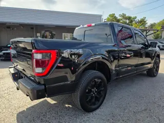 2023 Ford F-150 Platinum 4WD SuperCrew 5.5' Box