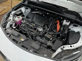 2024 Toyota Venza Nightshade AWD (Natl)