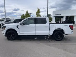 Ford F-150 2024 4x4 XLT 4dr SuperCrew 6.5 ft. SB