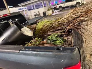 Chevrolet Silverado 1500 2012 4x2 LS 4dr Crew Cab 5.8 ft. SB