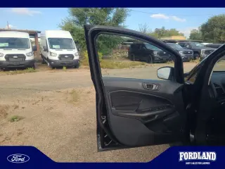 Ford EcoSport 2020 AWD SE 4dr Crossover