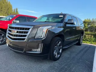 Cadillac Escalade ESV 2020 4x4 Luxury 4dr SUV