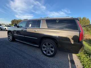 Cadillac Escalade ESV 2020 4x4 Luxury 4dr SUV