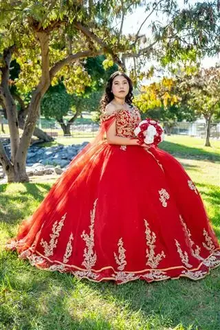 Fotos y Video desde $599 Pro