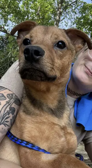 Junior