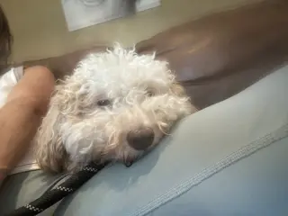 Jax