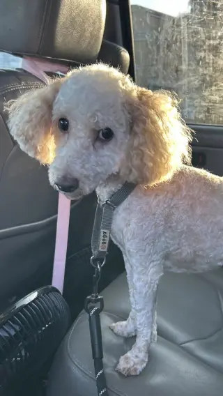 Jax
