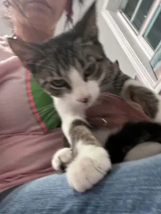 Oscar