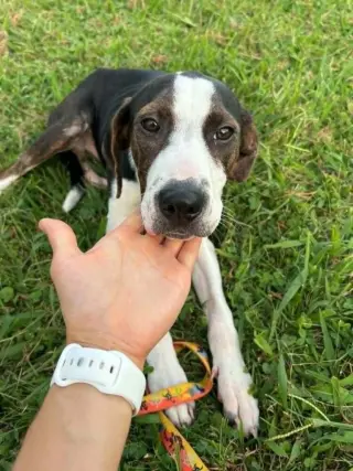 Floyd Rs : Rufus