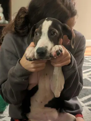 Floyd Rs : Rufus