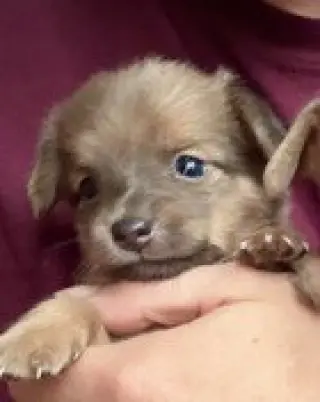 Jack